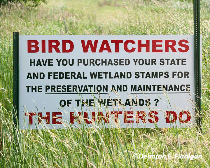 birdwatchers. Have you purchaced your state and federal wetland stamps for the preservation and maintenance of the wetlands? Hunters do